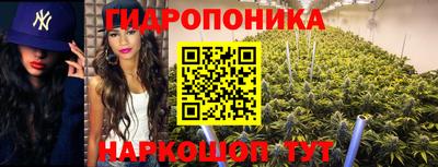 MDMA Сланцы