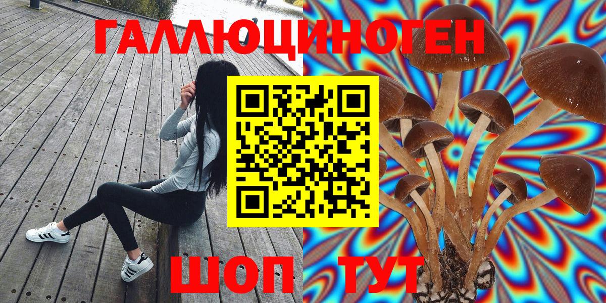Галлюциногенные грибы ЛСД Санкт-Петербург